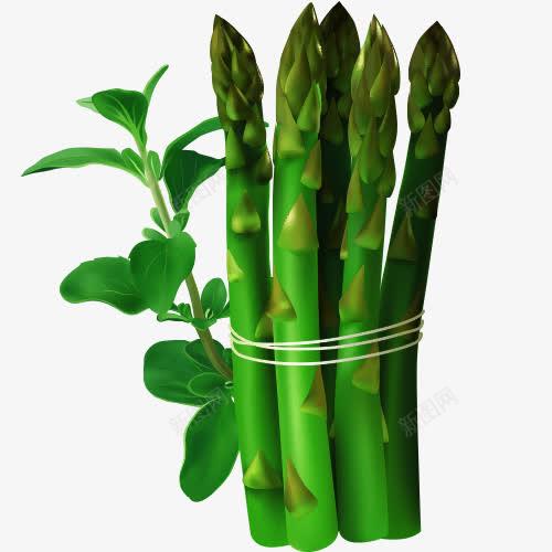 卡通竹笋 电商平面设计中的创意素材新星