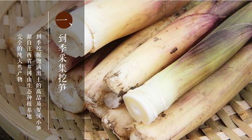 竹笋春鲜 从山野到餐桌的自然馈赠